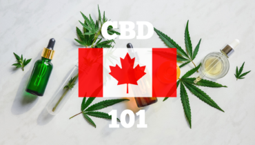 visualizes the subject of contents for those interested in cbd oil in canada