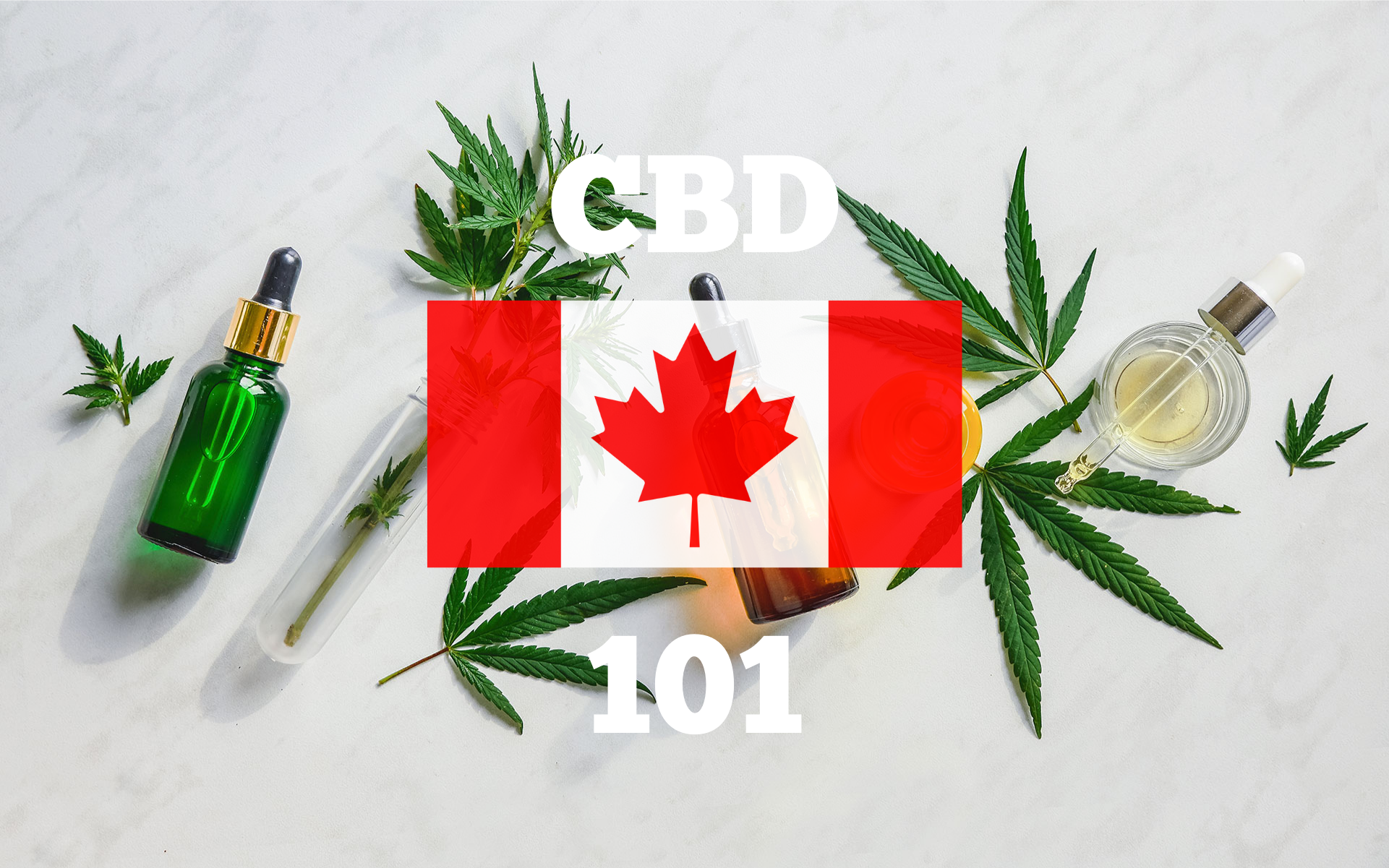 visualizes the subject of contents for those interested in cbd oil in canada