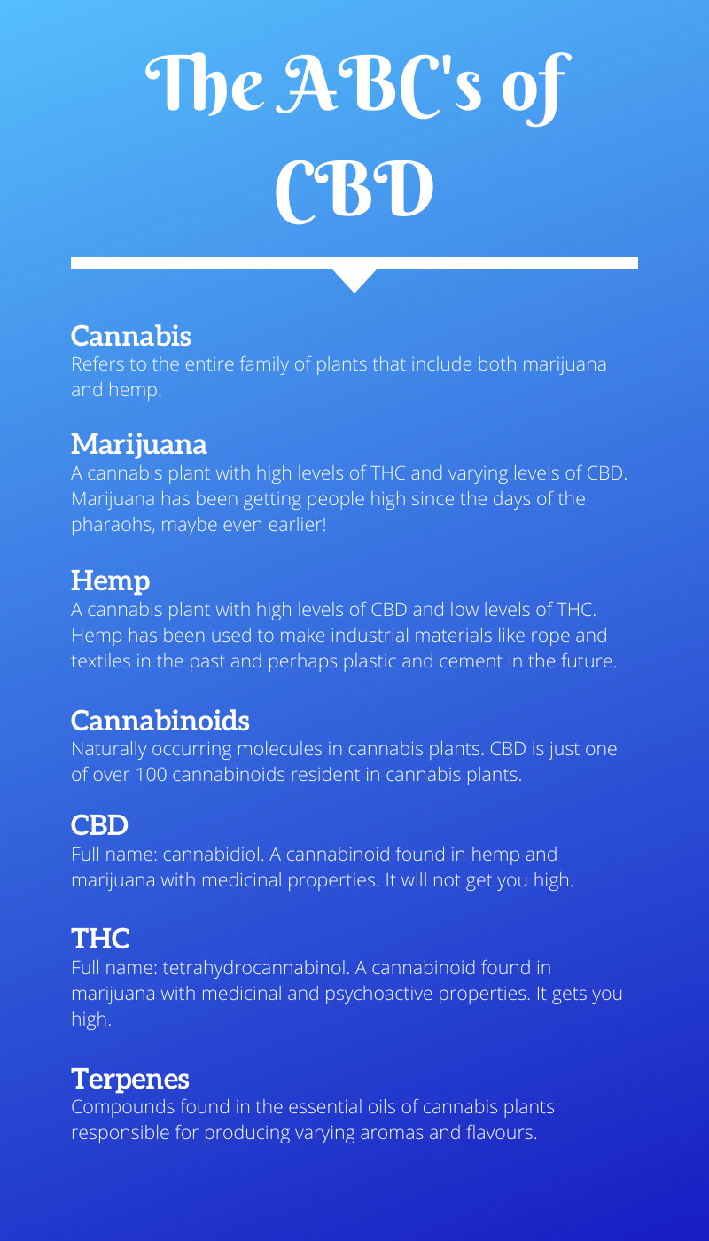 a chart familiarizing people with CBD-related terms