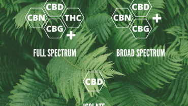 Full Spectrum CBD vs Broad Spectrum CBD