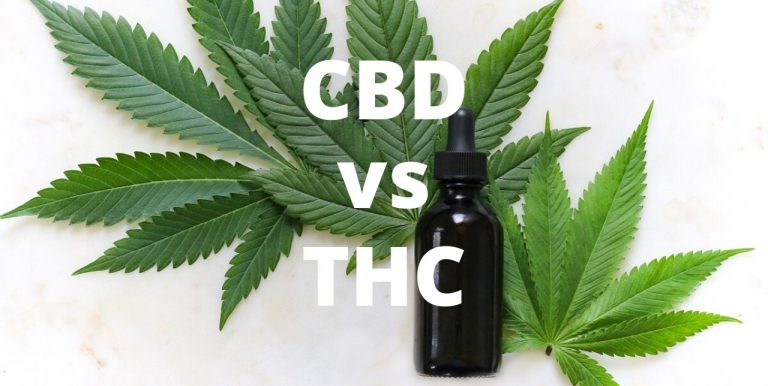 visualizes topic "cbd vs thc" for reader