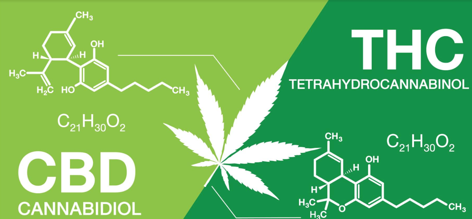 CBD Vs THC, What Are The Differences, Benefits & Effects?