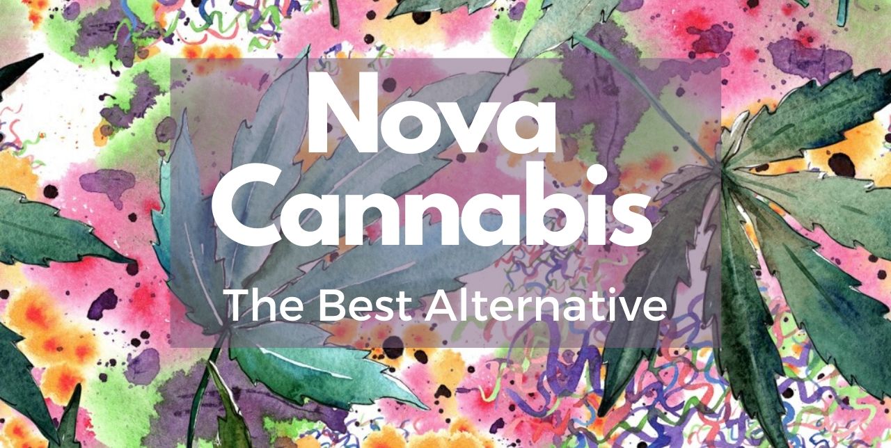 Educational: alert viewer to alternative to Nova Cannabis