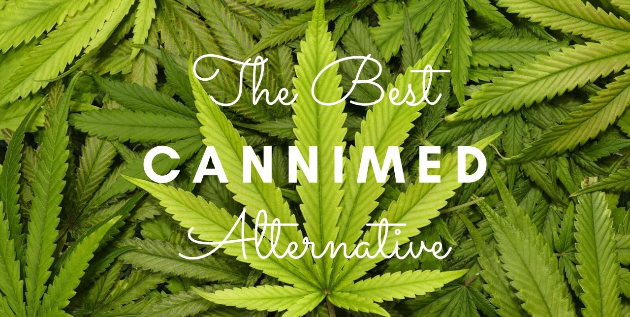 Indicates topic: alternative to cannimed