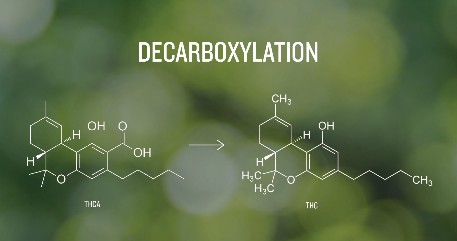 educational molecular diagram decarboxylation for how to make cbd oil