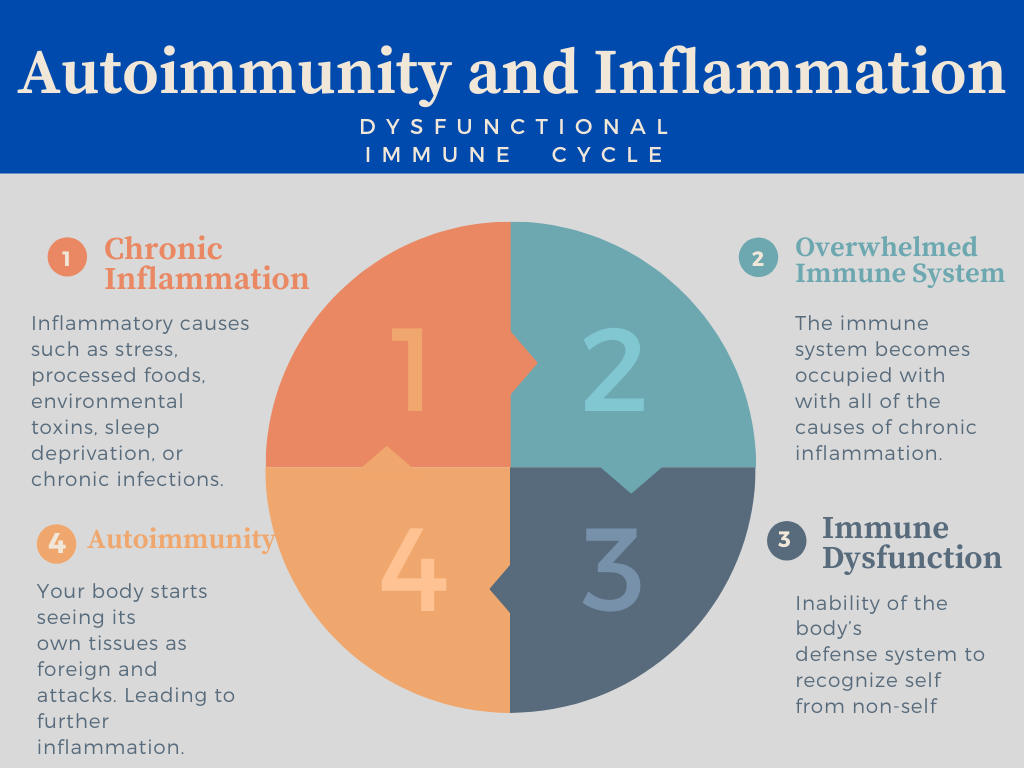 cbd as preventative medicine article chart depicting inflammation's influence on autoimmune disease