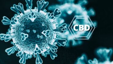 visualizes CBD vs COVID effectiveness