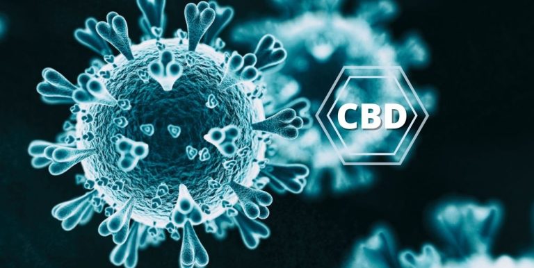 visualizes CBD vs COVID effectiveness