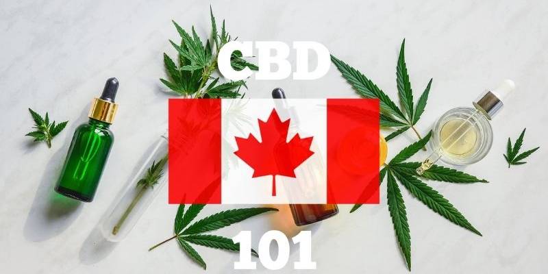 CBD Oil