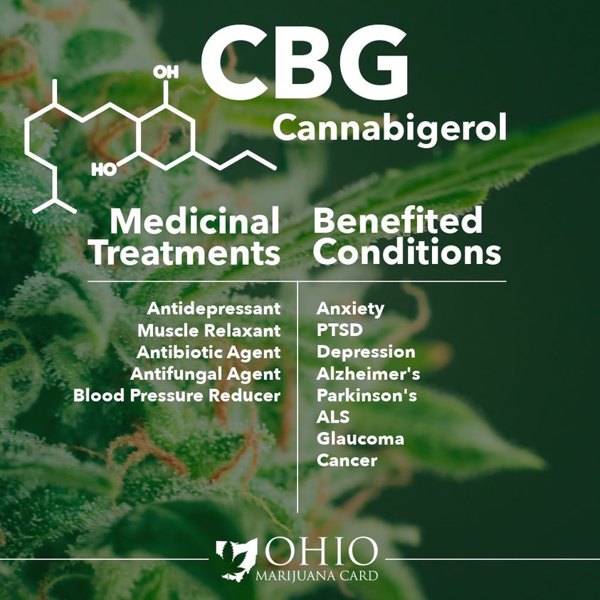 infographic relating benefits of cannabigerol