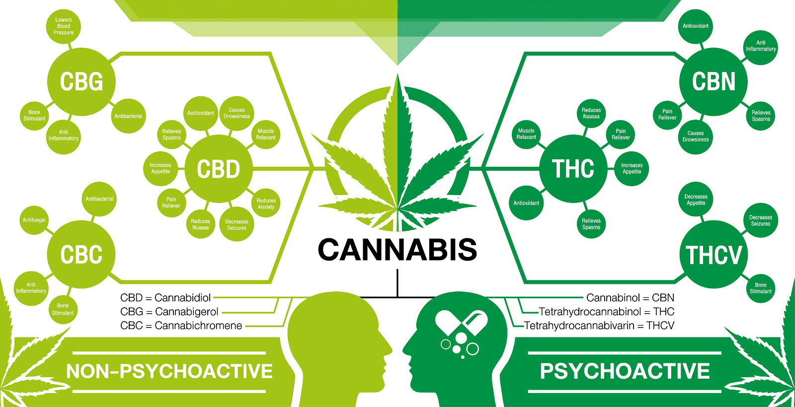 infographic depicting various cannabinoids, like CBN, and their effects