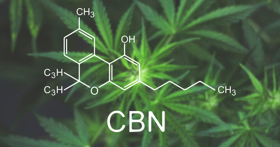 What Is CBN? An Introduction To Cannabinol - CBD Oil Direct