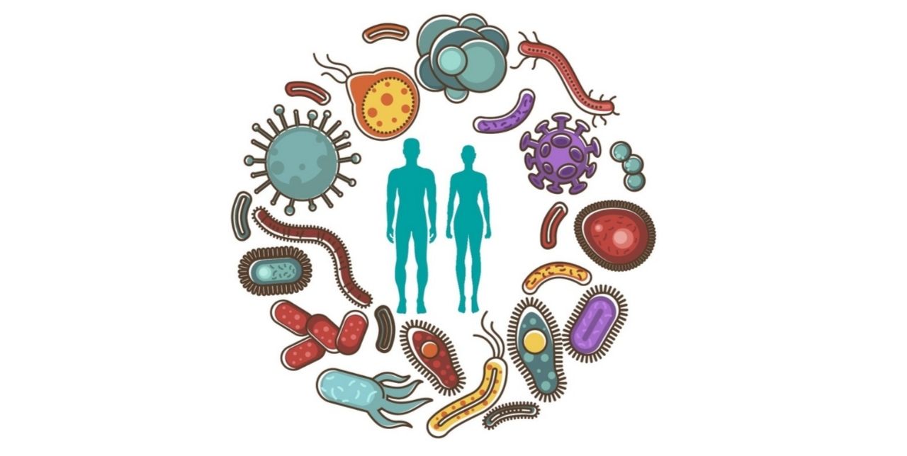 analogizes relationship between microbiome, microbiota and humans