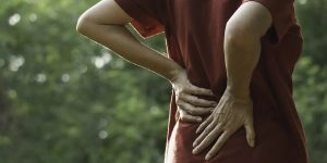 cbd for back pain